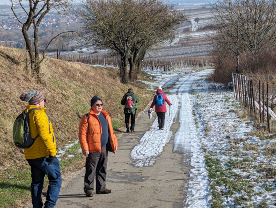 Rund um die Madenburg,
21. Januar 2024